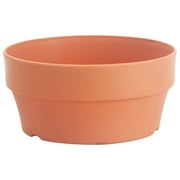 SWSUSN 6.3 Inch Terracotta Shallow Succulent Pot - Terra Cotta Clay Pots, Cacuts Terra-Cotta Indoor and Outdoor Planters with Drainage Hole